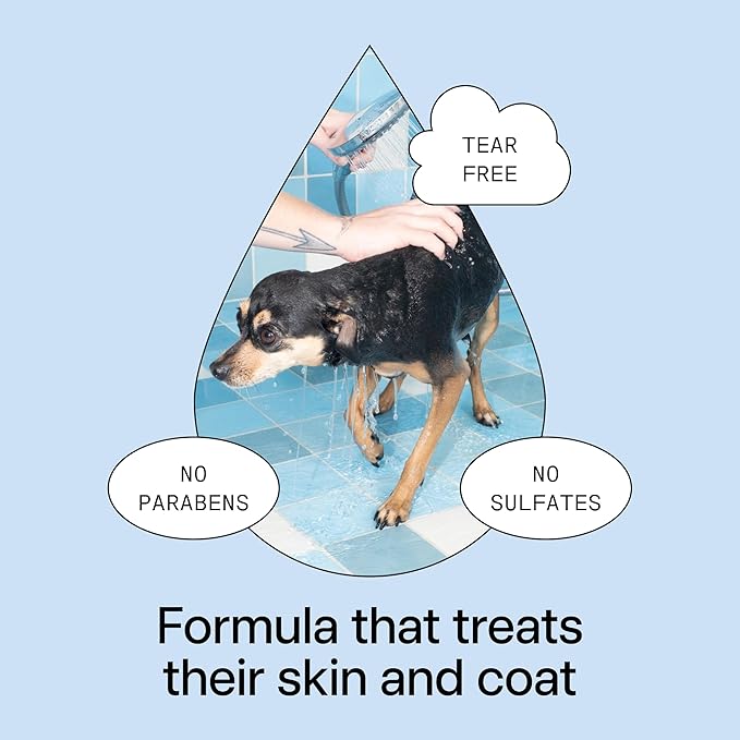 DedCool Pet Shampoo (01 Taunt, 16.9 oz) Tear-Free, for Sensitive Skin, Hypoallergenic, Dry Skin & Itch Relief, Deodorizing Shampoo & Conditioner for Dogs & Cats, Vegan, Clean, Non-Toxic-PawvioPets