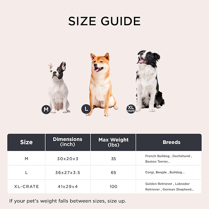 Bedsure Orthopedic Dog Bed for Medium Dogs - Flat Memory Foam Pet Mattress with Removable Washable Cover and Egg Crate Foam, Suitable for Pet Up to 35 lbs, 30x20x3 Inches, Navy-PawvioPets