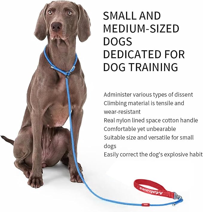 Dog Anti-Slip Leash 5FT with Metal Stopper - Durable No-Pull Training Lead for Small, Medium & Large Dogs - Comfortable Handle Nylon Rope, Tangle-Free Pet Walking Leash (Blue, 5 FT)-PawvioPets