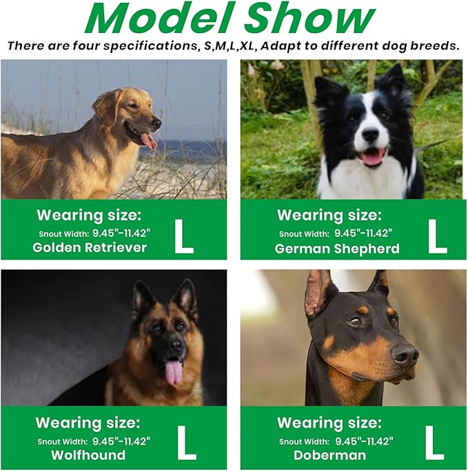 Dog Muzzle, Basket Muzzle for Small Medium Large Dogs, Anti-Biting and Chewing, Lightweight & Sturdy Cage Design, Allows Panting & Drinking, Ideal for Grooming & Training(Green Size L)-PawvioPets