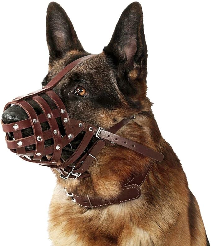 CollarDirect Dog Muzzle German Shepherd Dalmatian Doberman Setter Leather Basket Medium Large Breeds (Chestnut Brown, Large)-PawvioPets