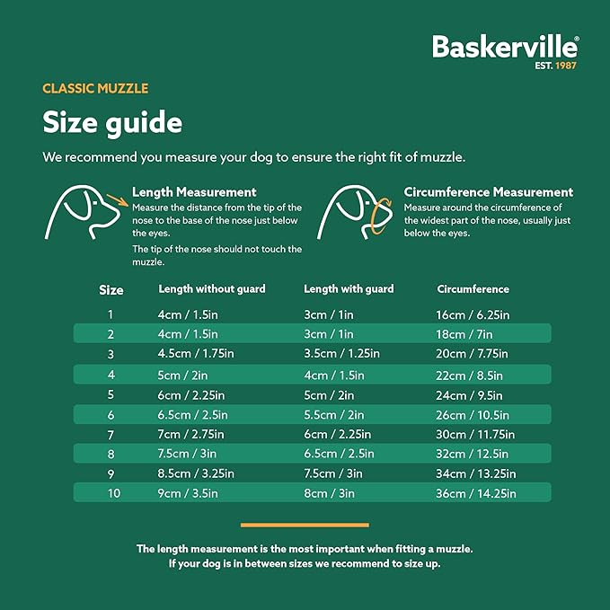 Baskerville Classic Basket Muzzle - Dog can Pant and Drink, Prevents Biting and Food Waste Scavenging, Strong TPR, Ideal for Longer Nosed Dogs, Breathable Dog Training Muzzle for Small Dogs (Size 2)-PawvioPets