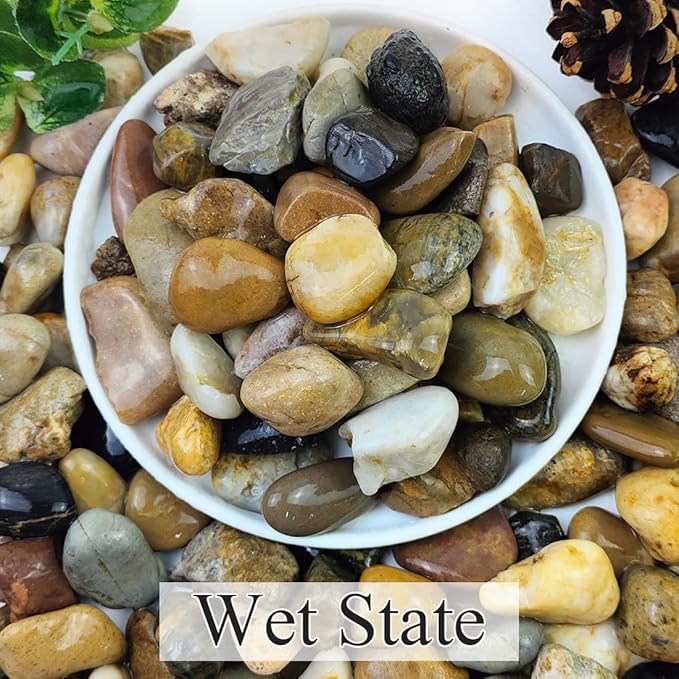 5lbs Aquarium Rocks, 5/8" Natural Mixed Pebbles for Plants Decorative Polished River Rocks for Fish Tank, Landscaping, Gardening, Flower Pots, Vase Fillers, Indoor Water Fountains-PawvioPets