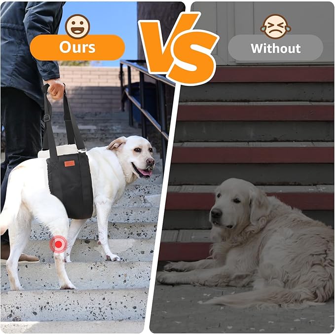 Adjustable Dog Lift Harness Dog Sling for Large Dogs Hind Leg Support Soft Lift Support and Rehab Harness for Weak Rear Legs, Helps Senior, Injured, Disabled and After ACL Surgery Dogs Large-PawvioPets