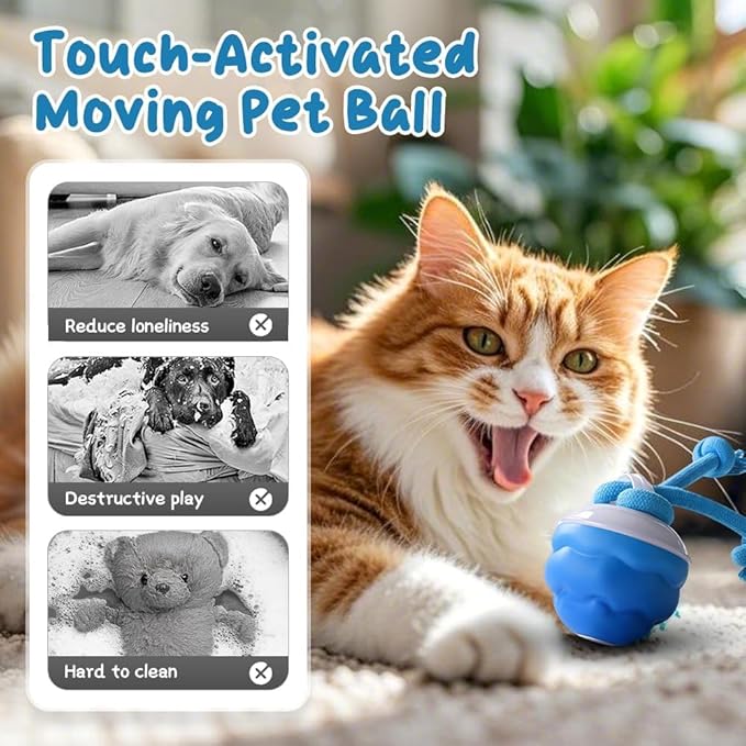 2026 New Interactive Pet Toy Ball, Smart Interactive Ball for Cats & Dogs, Electric Rolling Pet Toy Ball, Rechargeable Interactive Cat Toys for Bored Indoor Cats Kittens to Keep Busy (Orange)-PawvioPets
