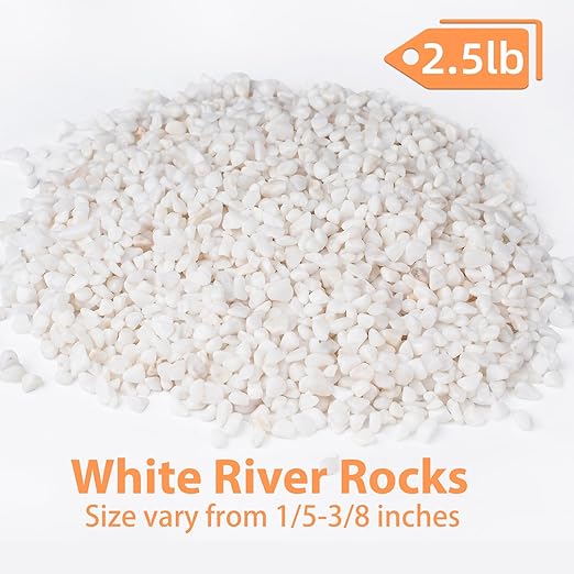 2.5 lbs White Aquarium Gravel, 1/5 Inch White Rocks for Plants, Small Pebbles for Vases, Succulents, Bamboo, Natural Decorative Pebbles for Plants Drainage, Cactus, Crafts-PawvioPets