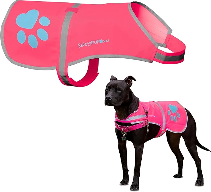 Dog Reflective Vest – Hi-Vis Fluorescent Visibility That Helps to Safeguard Your Pet On/Off Leash in Urban & Rural Areas (Pink, X-Small)-PawvioPets