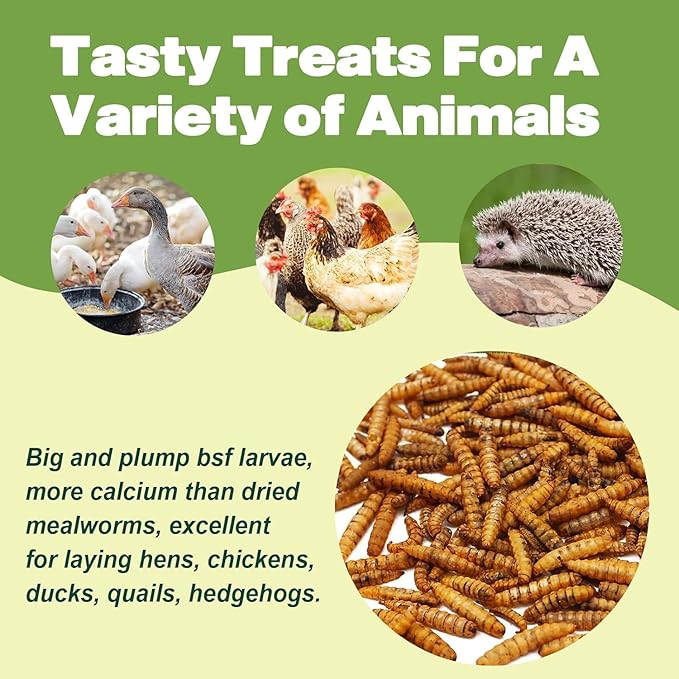 5LB Dried Black Soldier Fly Larvae, 86X Calcium Than Dried Mealworms, High Protein Non-GMO Organic Chicken Feed-PawvioPets