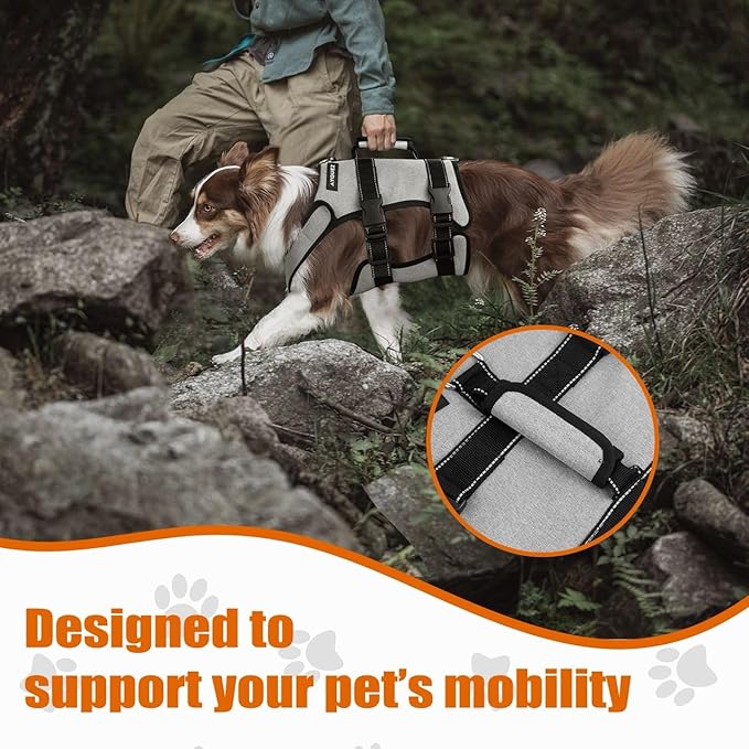 Ayquez Dog Lift Harness with Storage and Transport Bag, Dog Harness with Handle for Lifting & Hip dysplasia, arnés para Perros pequeños, pechera para Perros (Gray, XL)-PawvioPets