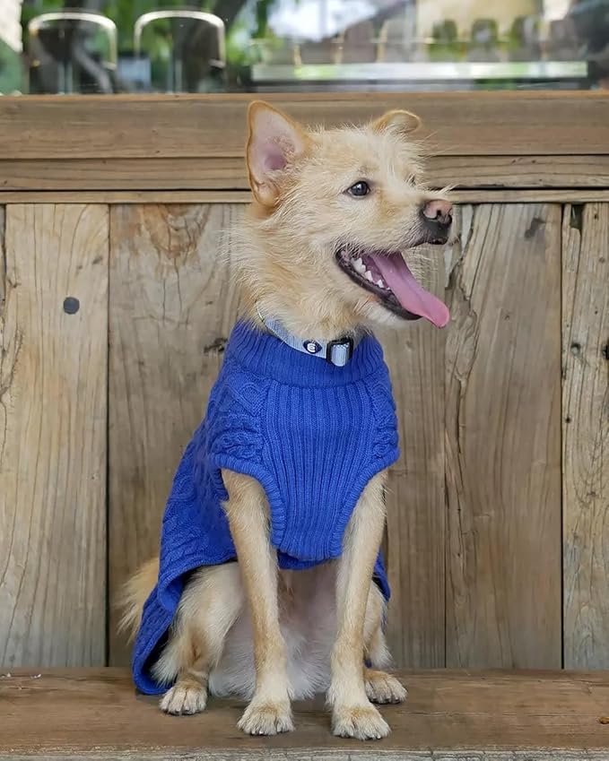 Blueberry Pet Essentials Matching Large Dog Collar | Adjustable Classic Solid Color Nylon Dog Collars for Large Dogs | Chambray Blue Dog Collar for Large Dogs-PawvioPets