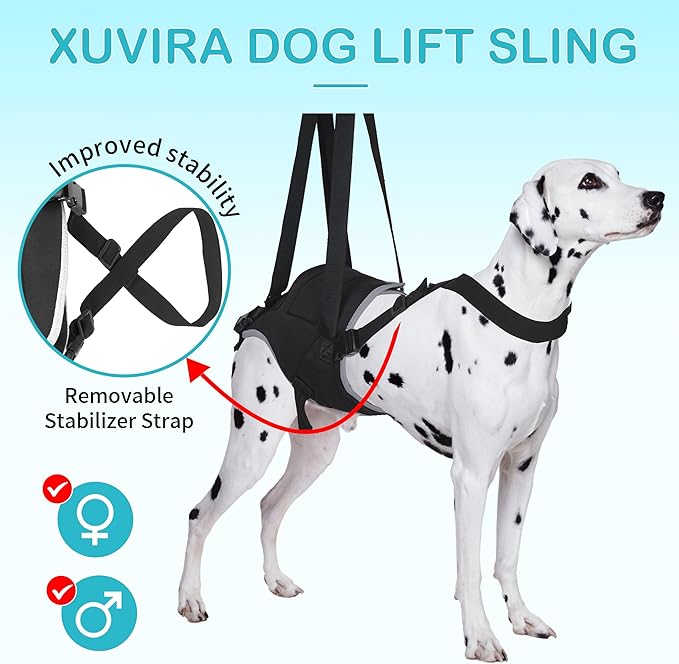 Dog Hip Support Brace – Rear Leg Lift Harness for Mobility & Post-Surgery Recovery, with Chest Straps and Adjustable Elastic Buckles, Customization-PawvioPets