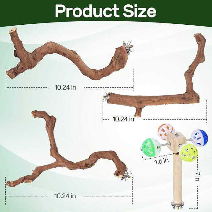 4-Piece Bird Perch Set with Rotating Ball Stand - Natural Wood Bird Gym & Playground for Parrots, Cockatiels, Budgies-PawvioPets