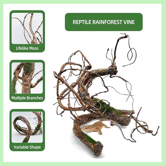 BNOSDM Reptile Vines, Bendable Jungle Climbing Vine with Moss,Terrarium Plants Decor,Artificial Plants Tank Decorations Accessories for Bearded Dragons Chameleons Snakes Lizards Hermit Crabs-PawvioPets