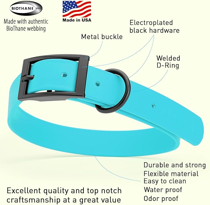 Dogline Biothane Waterproof Dog Collar Strong Coated Nylon Webbing with Black Hardware Odor- Proof for Easy Care Easy to Clean High Performance Fits Small Medium or Large Dogs, Sky Blue-PawvioPets