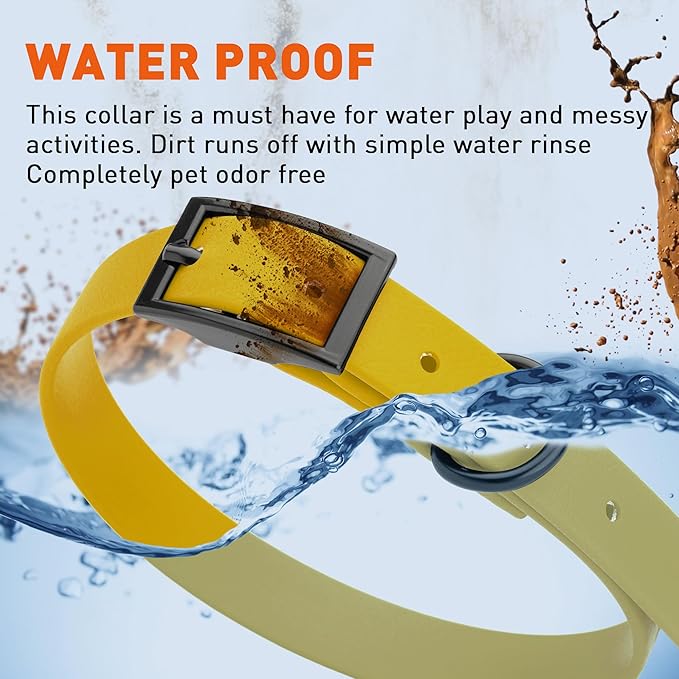 Dogline Biothane Waterproof Dog Collar Strong Coated Nylon Webbing with Black Hardware Odor- Proof for Easy Care Easy to Clean High Performance Fits Small Medium or Large Dogs, Treasure Gold-PawvioPets