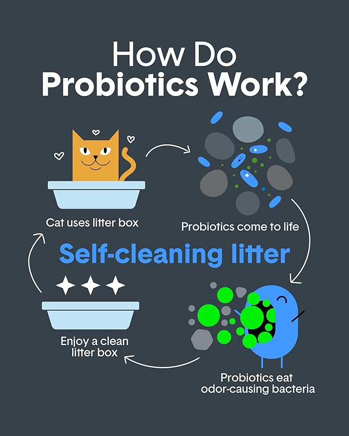 Boxie® Probiotic Cat Litter 40 Day Natural Odor Control, 40lb Clumping Kitty Litter (Clay)-PawvioPets