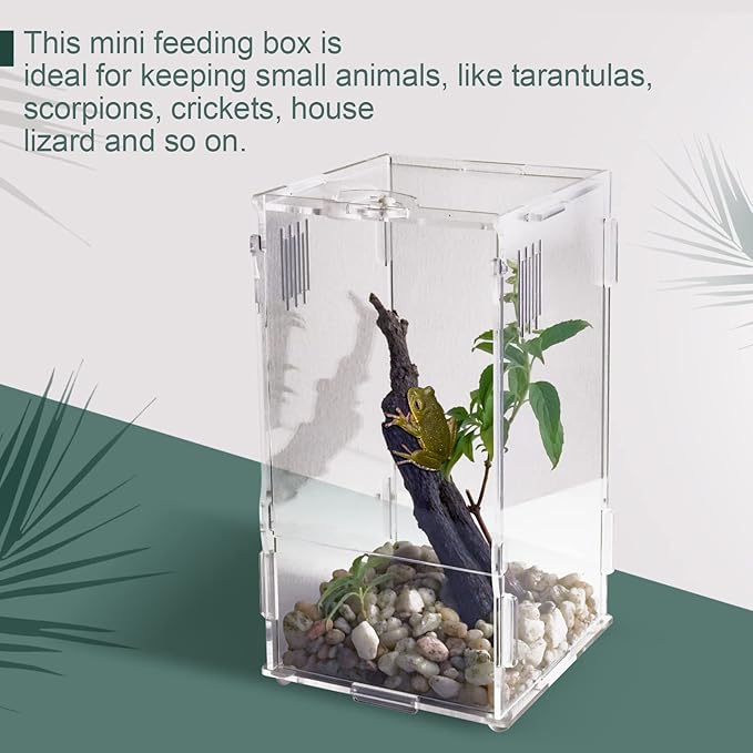 BETAZOOER Acrylic Mini Reptile Tank Habitat Transparent Terrariums with Locking Latch Suitable for Tarantula Isopod Roach Invertebrates (4''x4''x8'')-PawvioPets