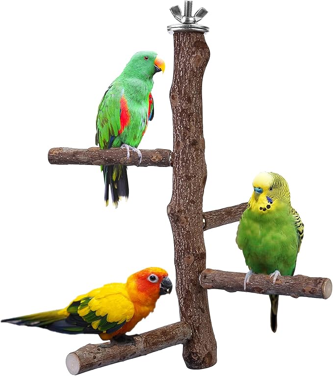 Bird Perch Stand Toy, Natural Wood Parrot Perch Bird Cage Branch Perch Accessories for Parakeets Cockatiels Conures Macaws Finches Love Birds (M: 10" Length)-PawvioPets