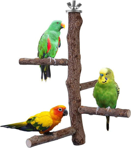 Bird Perch Stand Toy, Natural Wood Parrot Perch Bird Cage Branch Perch Accessories for Parakeets Cockatiels Conures Macaws Finches Love Birds (M: 10" Length)-PawvioPets