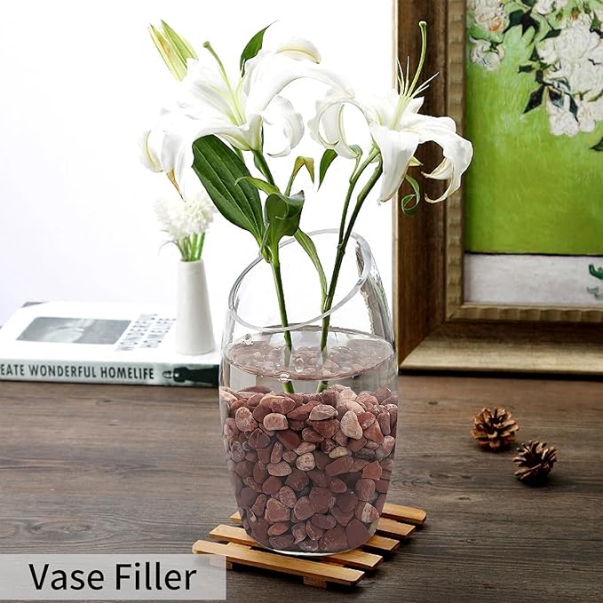 5 lbs Succulent and Cactus Pebbles for Indoor Plants, 3/8 Inch Pea Gravel Decorative Red River Rocks for Plants, Vases, Terrarium, Aquarium, Potted Top Dressing and Outdoor Landscaping Stones-PawvioPets