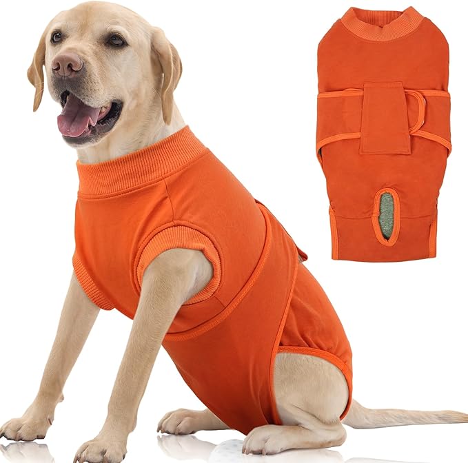 FUAMEY Dog Recovery Suit Male,Dogs Surgery Neuter Suits Puppy Spay Shirts for Female Protect Dog's Skin Anti Licking Abdominal Wounds Doggie Onesie Pet Bodysuit Alternative to Cone Orange XL-PawvioPets