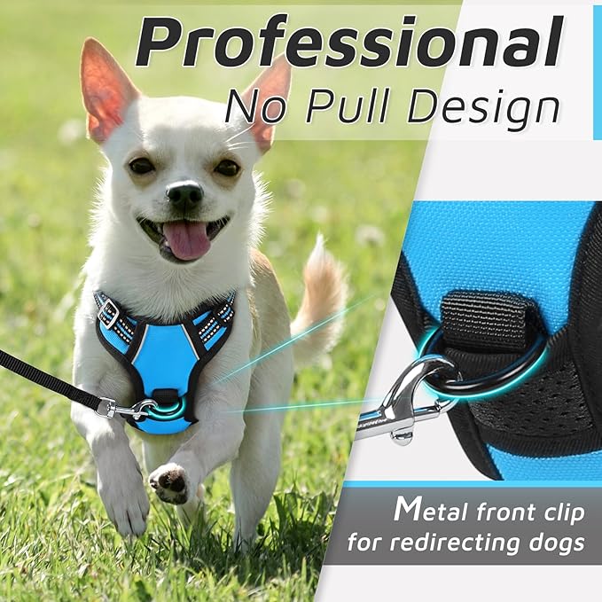 Eagloo Small Dog Harness No Pull, Service Vest with Reflective Strips and Control Handle, Adjustable and Comfortable for Walking, No Choke Pet Harness with 2 Metal Rings, Sky Blue, XS-PawvioPets