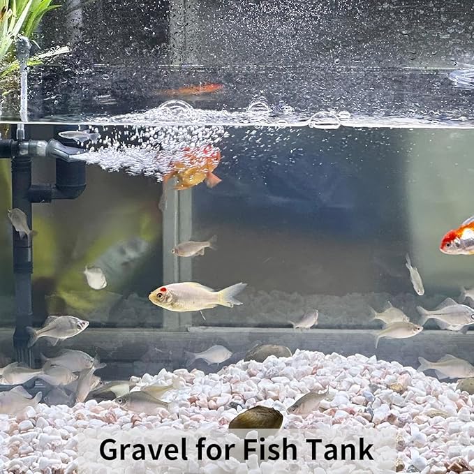 2 lbs White Gravel, 3/8 Inch White Pebbles for Indoor Plants. White Stones for Succulents, Planters, Vase and Outdoor Garden Landscaping-PawvioPets