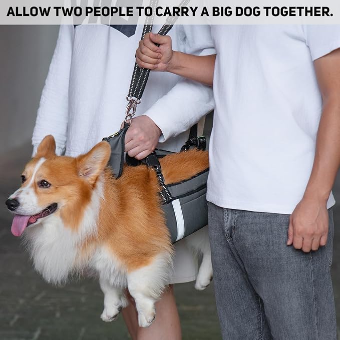 COODEO Mobility Dog Lift Harness, Emergency Carry Sling, Pet Rear Leg Support Rehabilitation Lifts Vest, Dog Carrier for Senior Dogs Joint Injuries, Arthritis (Military Green, M)-PawvioPets