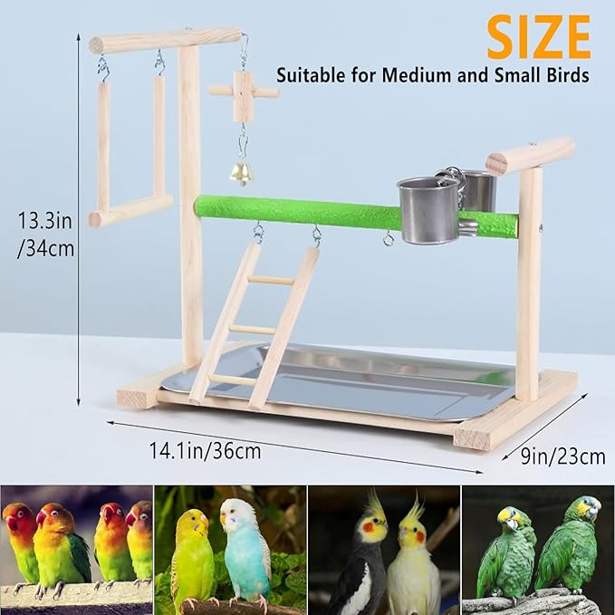 Birds Playground Parrot Playstand Birds Perch Stand Gym Natural Wood Play Stand with Ladder Swing Feeder Cups for Parakeets Cockatiels Lovebirds Conures Budgies-PawvioPets