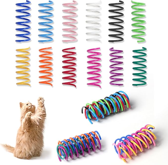 24PCS 12Colors Cat Spring Toys for Indoor Cats, Interactive Coil Springs for Self Play, Durable Heavy Plastic Cat Spiral Spring, Hunting, Biting, Swatting Creative Kitten Toy.-PawvioPets