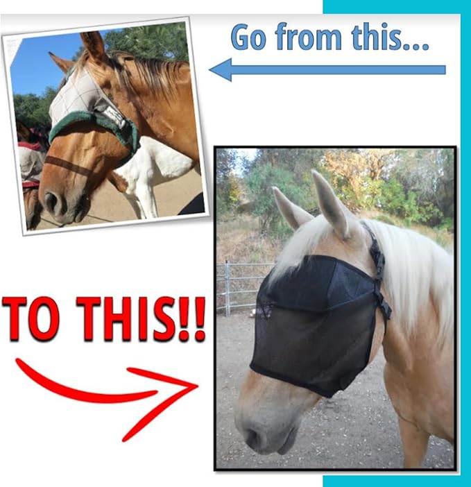EquiVizor 95% UV Eye Protection (Mini) Standard Horse Fly Mask - Help with Uveitis, Corneal Ulcer, Light Sensitivity. Designed to Stay On Your Horse, Off The Ground.-PawvioPets