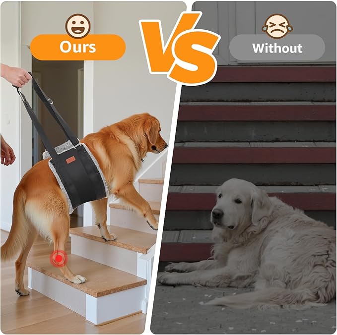 Adjustable Dog Lift Harness, Dog Sling for Large Dogs Hind Leg Support, Soft Lift Support Helps Senior, Injured, Disabled and After ACL Surgery Dogs-Black & Grey (X-Large)-PawvioPets