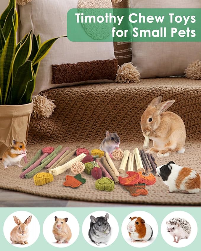 ERKOON 33PCS Bunny Chew Toys for Rabbits Teeth, Natural Rabbit Toys Apple Wood Sticks, Carrot, Timothy Grass Toys for Small Pets, Hamster, Chinchilla, Guinea Pig Dental Care and Treat Teething Toys-PawvioPets