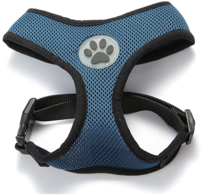 BINGPET Dog Vest Harness -Light Weight Breathable Sports Mesh - Pet Adjustable Harness Puppy Padded Harnesses Dog Vest Harness for Small Dogs-PawvioPets