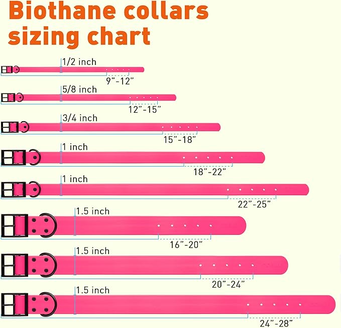 Dogline Biothane Waterproof Dog Collar Strong Coated Nylon Webbing with Black Hardware Odor- Proof for Easy Care Easy to Clean High Performance Fits Small Medium or Large Dogs, Passionfruit Pink-PawvioPets