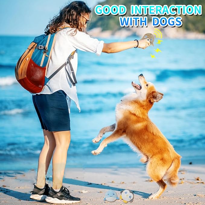 DKING 3Pack Squeaky Dog Balls,2 in1 Funny Puppy Ball Toys,Birthday Dog Toy for Small Medium Dogs (Ocean Ball)-PawvioPets