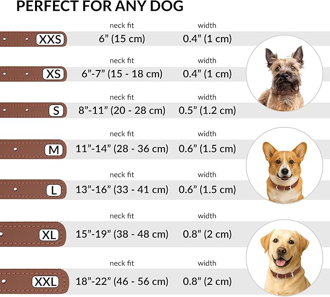 CollarDirect Rolled Leather Dog Collar, Soft Padded Round Puppy Collar, Handmade Genuine Leather Collar Dog Small Large Cat Collars 13 Colors (18-22 Inch, Cinnamon Smooth)-PawvioPets