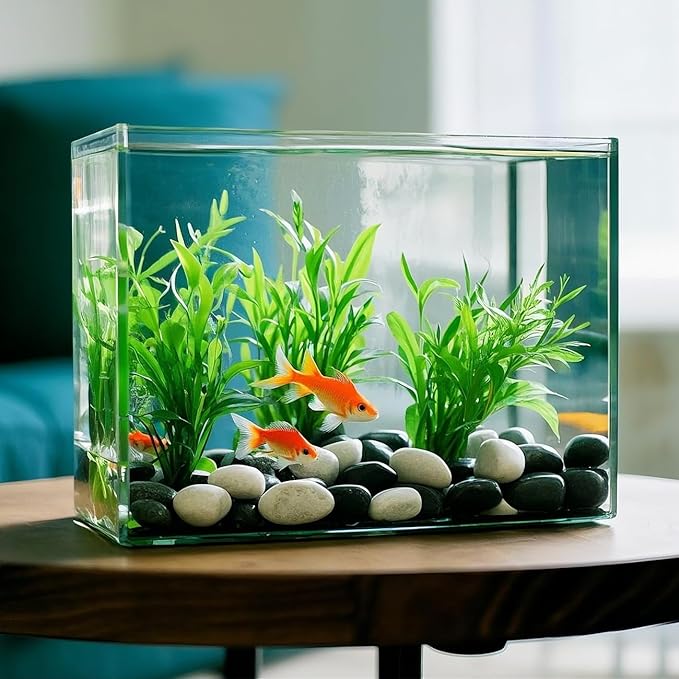 5 Lbs River Rocks for Plants,0.4-1.2 Inch Decorative Ornamental Pebbels, High Polished Stones for Garden Landscaping, Smooth Gravel Filler for Outdoor Plants, Succulents, Fish Tank and Vases, White-PawvioPets