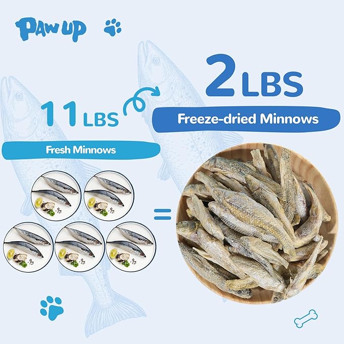 Freeze Dried Minnows Cat Treats – 100% Natural, Single-Ingredient Pet Snacks – Rich in Omega-3, Grain-Free – Healthy Training Rewards & Meal Toppers for Dogs & Cats, 2.8 oz-PawvioPets
