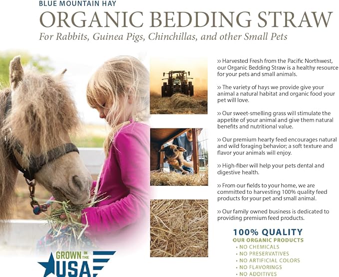 Blue Mountain Hay | Organic Bedding Straw (5 lb) | Natural Pet Bedding & Insulation for Rabbits, Guinea Pigs, Goats, Chickens, Stray & Feral Cats, and Small Animal Shelters-PawvioPets