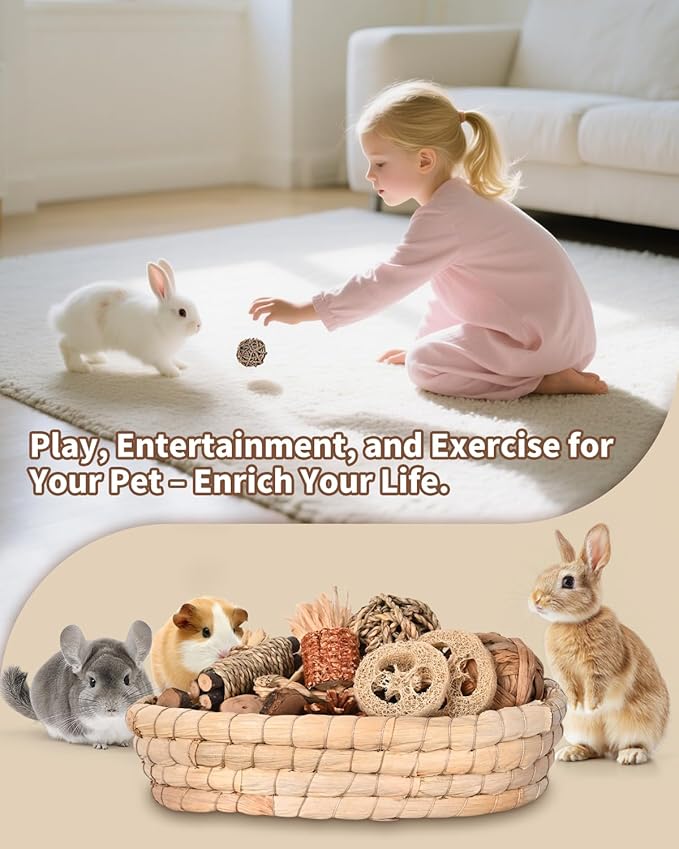 31PCS Rabbit Chew Treat Toys for Teeth Health, Natural Bunny Enrichment Toys for Boredom & Stress Relief, Keep Busy Toys for Guinea Pig Chinchilla Hamster Rat Gerbil Degu Indoor Outdoor-PawvioPets