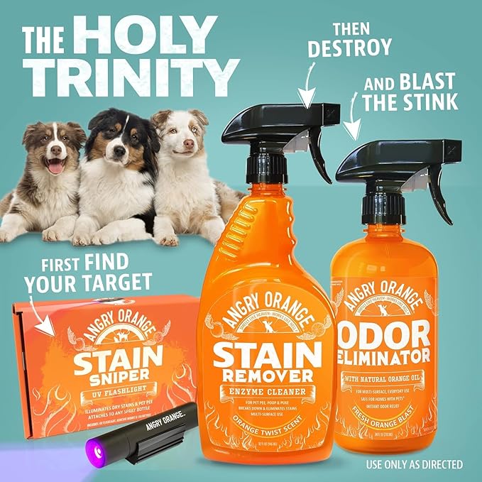 ANGRY ORANGE Pet Odor Eliminator Kit for Dog Urine - Citrus - 24 oz + UV Flashlight-PawvioPets