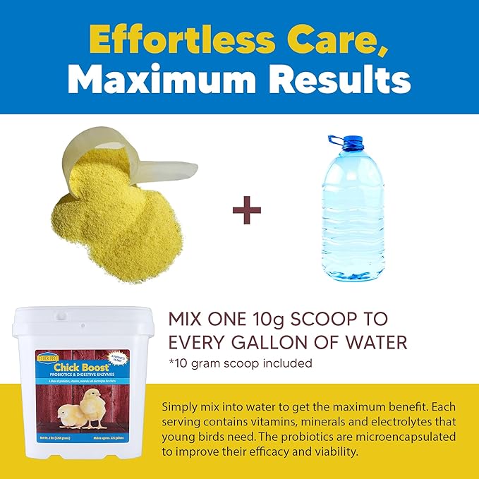 Equerry's Flock PRO Chick Boost Probiotic - Probiotics, Vitamins, Minerals and Electrolytes for Chickens | Chicken Vitamins and Supplements for All Poultry - 5lb-PawvioPets