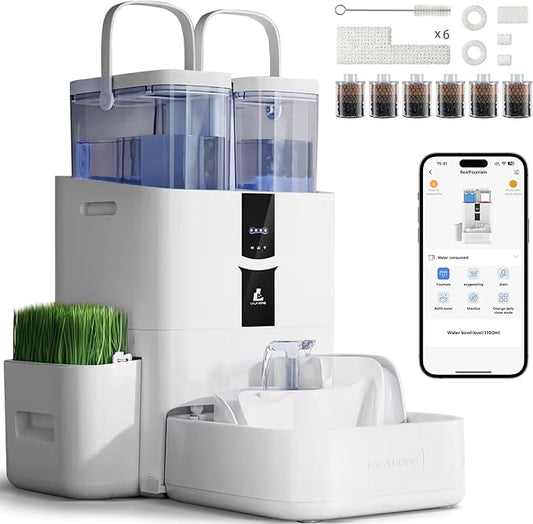 DailyFresh Cat Water Fountain 10L/338 oz Self Refilling, Pet Drinking Fountains for Dogs Indoor, Smart APP 5G WiFi Automatic Water Dispenser Oxygen-Rich, Wastewater Separation, BPA-Free-PawvioPets