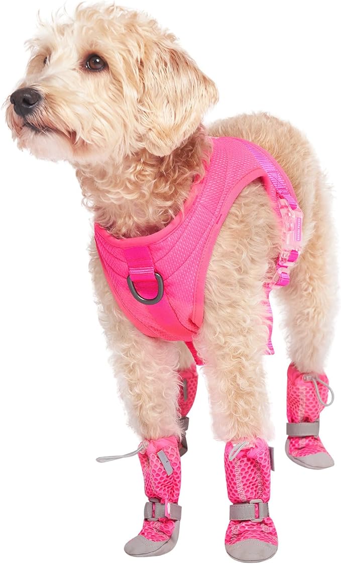Canada Pooch Dog Boots for Hot Pavement - Dog Boots & Paw Protectors with Anti Slip Rubber | Water Friendly, Breathable Dog Shoes for Hot Days, Great for Dogs Neon Pink - Size 2-PawvioPets