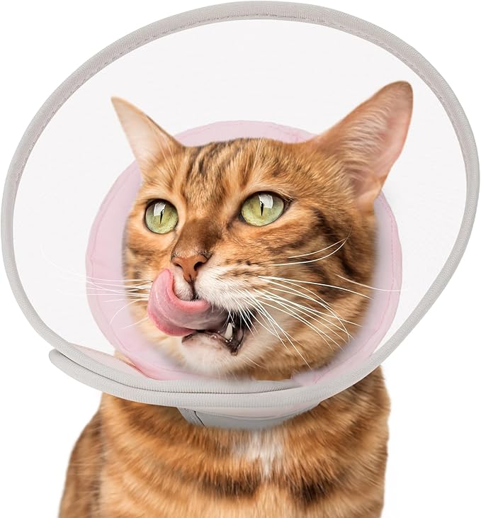 Cat Cone Collar Soft: Comfortable Waterproof Mesh Recovery Cone After Surgery to Stop Licking and Scratch, Alternative to Plastic Elizabeth Head/Neck Cone for Large Cats and Small Dogs-PawvioPets
