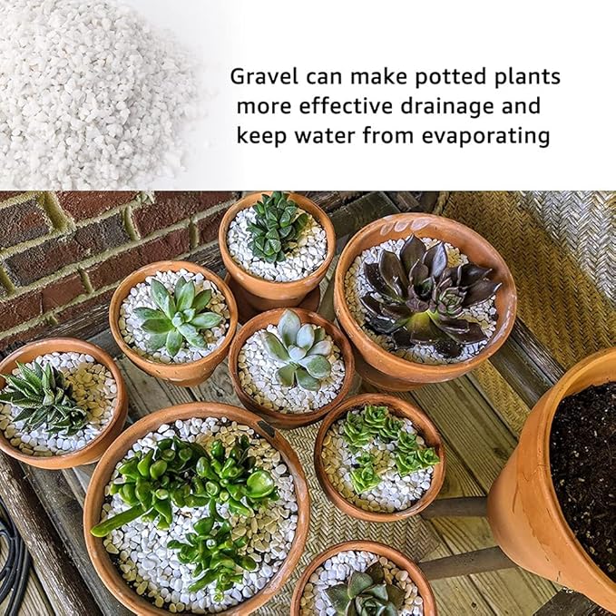 18lb White Cactus Pea Gravel Rocks,1/4 Inch Pebbles for Indoor Plants, Natural Succulent Rock and River Rocks Decorative for Aquariums, Vases, Outdoor Gardening, Top Dressing for Potted Plants-PawvioPets
