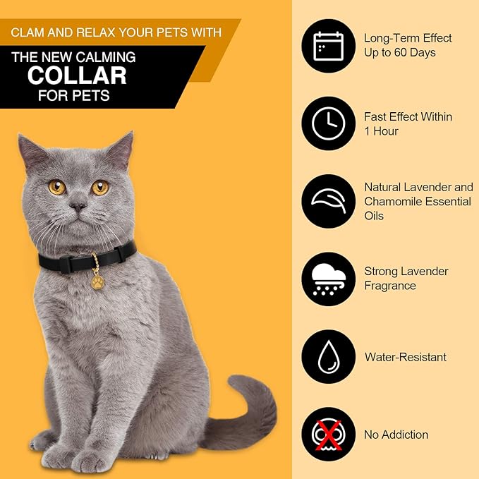 4 Pcs Cat Calming Collar Adjustable Lavender Scent Relaxing Cat Collar with 2 Pendant for Puppies Reduce Stress Aggression Anxious, up to 15 Inches(Black)-PawvioPets