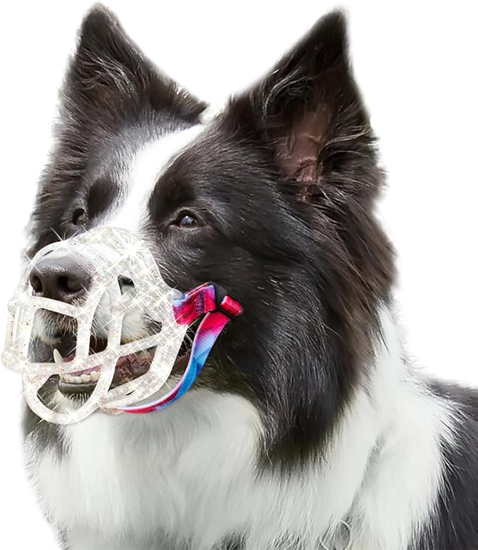 Dog Muzzle, OKKIC Basket Muzzle Anti Biting Chewing, Sturdy Lightweight Muzzle Allows Panting Drinking,Muzzle for Small Medium Large Dogs, Suitable for Grooming Trimming Training (Transparent, Size6)-PawvioPets