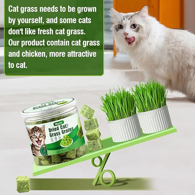 50g Cat Grass Teething Treat, Delicious Cat Grass Teething Snack Edible Cats Chew Toy for Teeth Cleaning and Hairball Removal-PawvioPets